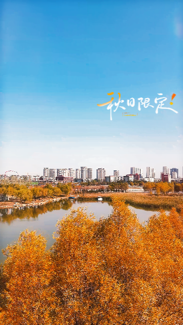 橙黄橘绿 秋意渐浓